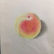 samosaの画像