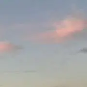 きの画像