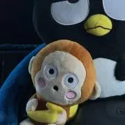 タクヤの画像