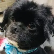 まる