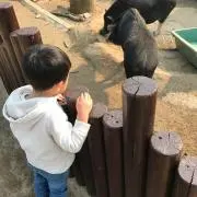 あらみままさん