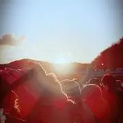 るう