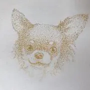 福太郎の画像