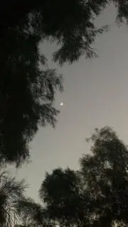 Aの画像