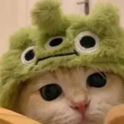 X Cの画像