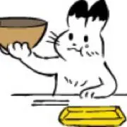 ミヨコの画像
