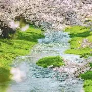 水柊の画像