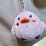 みーの画像
