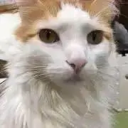 Image of るん【プロフ必読】