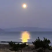 shoの画像