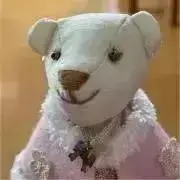 ぶたたんの画像