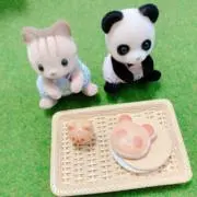 ぽむの画像