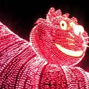コレクター太郎☆の画像