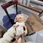 パンダなの画像