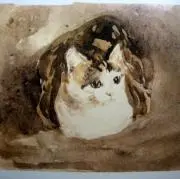tugumiの画像