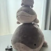 たっつんの画像