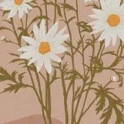 ひの画像