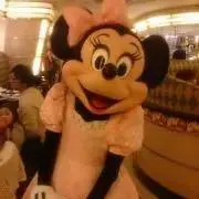 ベリーちゃんの画像