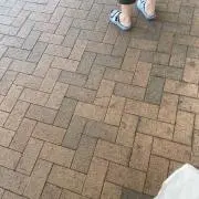 noceの画像