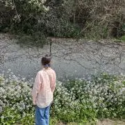 rabbitの画像