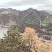 コクワガタ