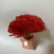 ぷぷぃ
