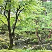 Greenの画像