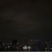 ゆの画像
