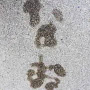 CAT 297C Multi Terrain Loader 1:32 - メルカリ