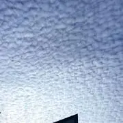 Nikの画像