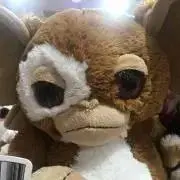 ch_nmの画像