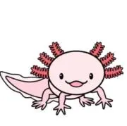 ももこ