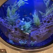 トマト