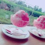 たろの画像