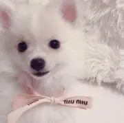 ra♡の画像