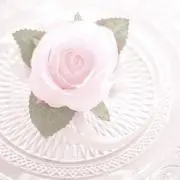 haの画像