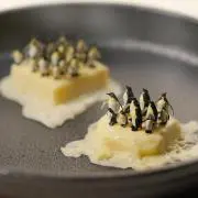 AA