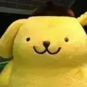 Tの画像