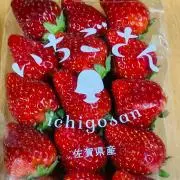 いずも＊値下げ依頼機能は非対応❌の画像