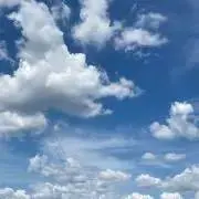 nimoの画像