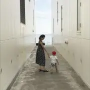 r6の画像