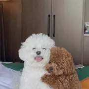marico