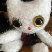 バニラ