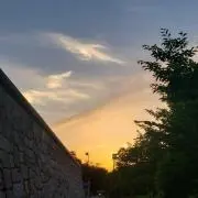 てんちゃん