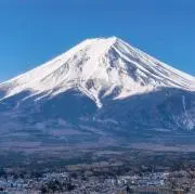 なみすけの画像