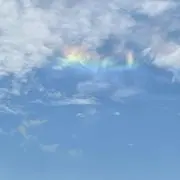 紫月の画像