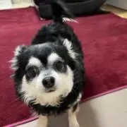 きむにーの画像