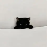 woni ꙳の画像