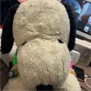 スーの画像