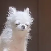 絆,